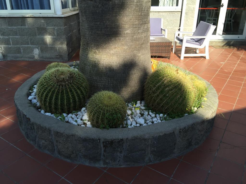 Hotel Villa Al Parco Forio di Ischia Dış mekan fotoğraf